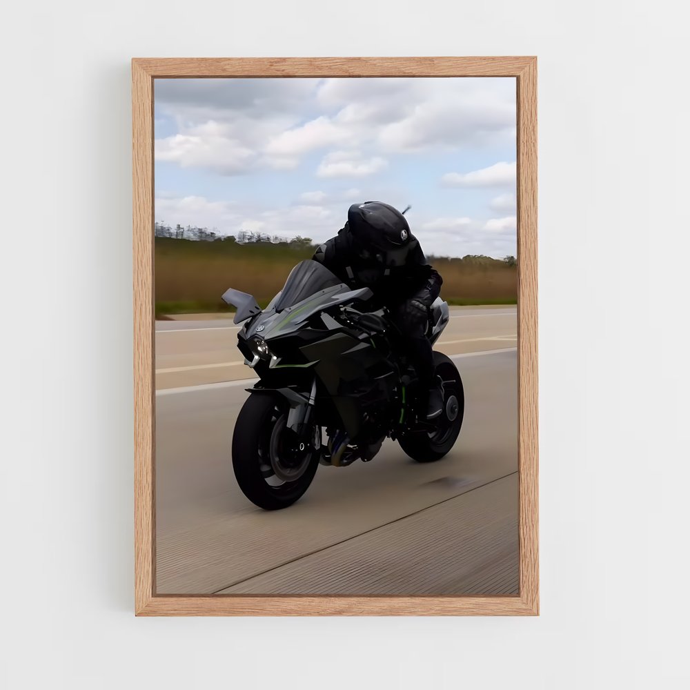 Poster La Route des Ninjas (vue 4)